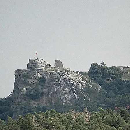 Ferienwohnungferienhaus Waldblick Apartament *
