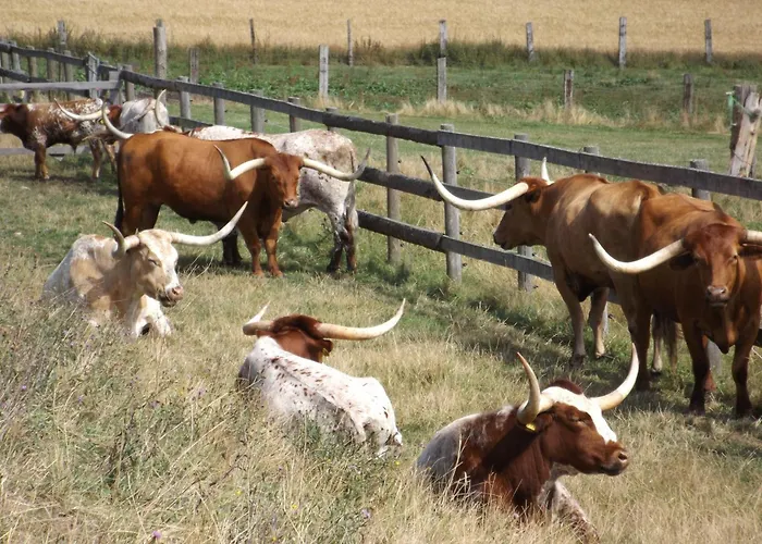 Διαμέρισμα Ferienwohnungferienhaus Waldblick Wienrode