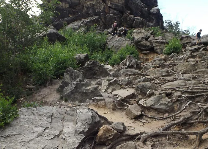 Ferienwohnungferienhaus Waldblick